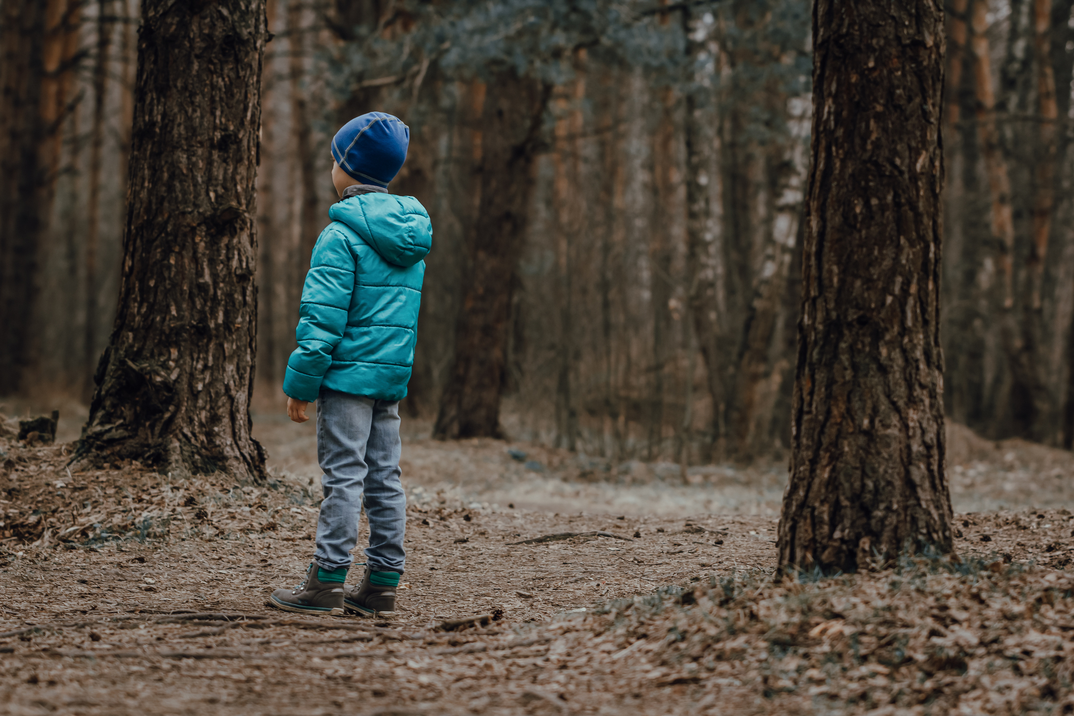 Lost child stands alone in a dark autumn empty forest